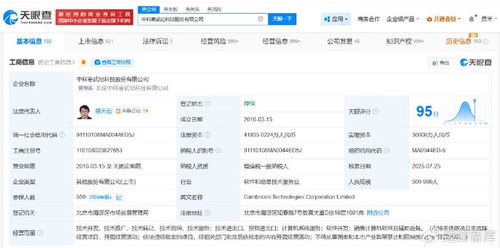 寒武纪科技对外投资布局 计算机系统服务领域的战略拓展